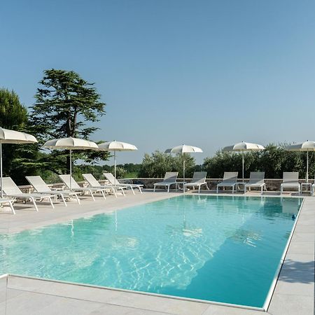 Verdeolivo 1876 - Apartments & Pool Mezzane di Sotto Exteriör bild